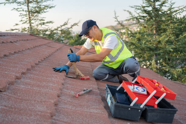 Best Commercial Roofing Services  in Albany, MO